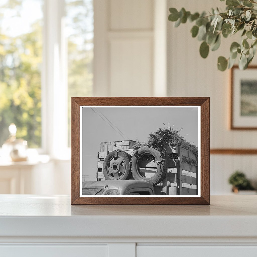 Truck Arriving at San Angelo Fat Stock Show March 1940
