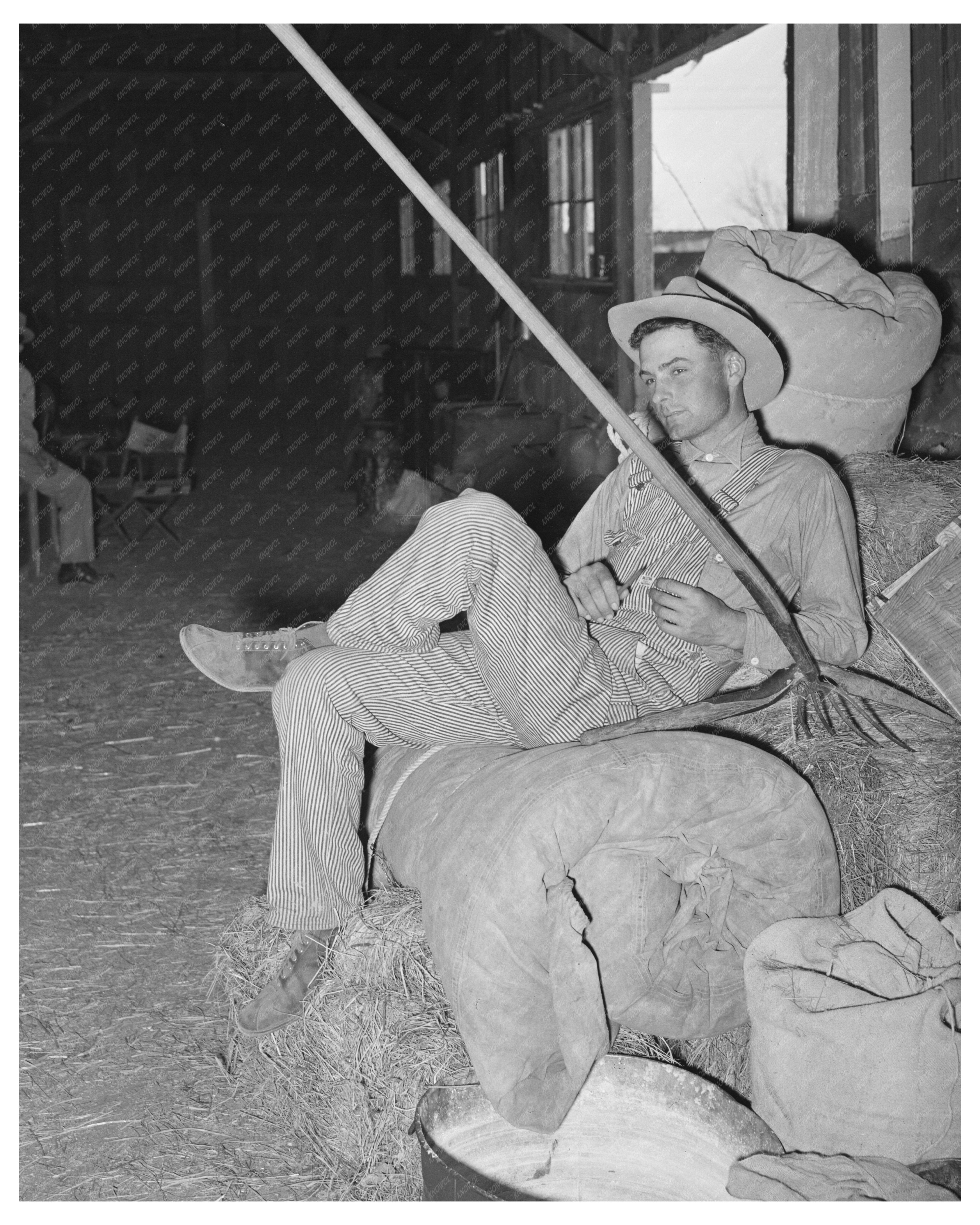Cowboy Resting on Haystack San Angelo Stock Show 1940
