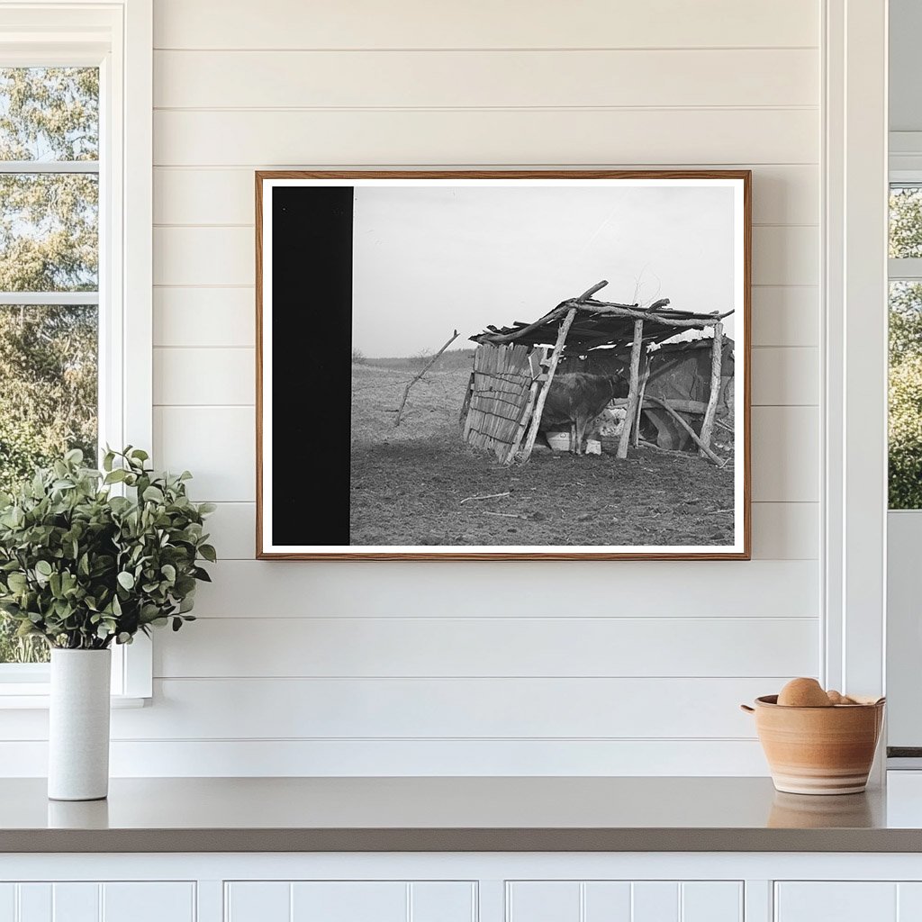 Cowshed on McIntosh County Farm March 1940