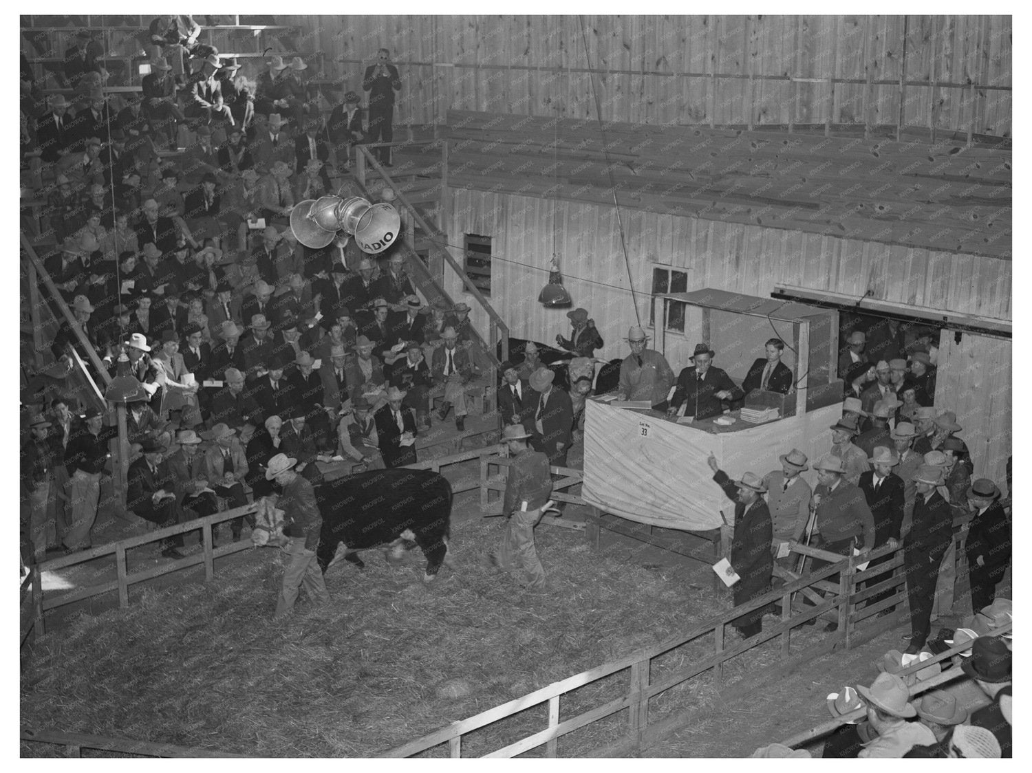 Hereford Cattle Auction San Angelo Texas March 1940