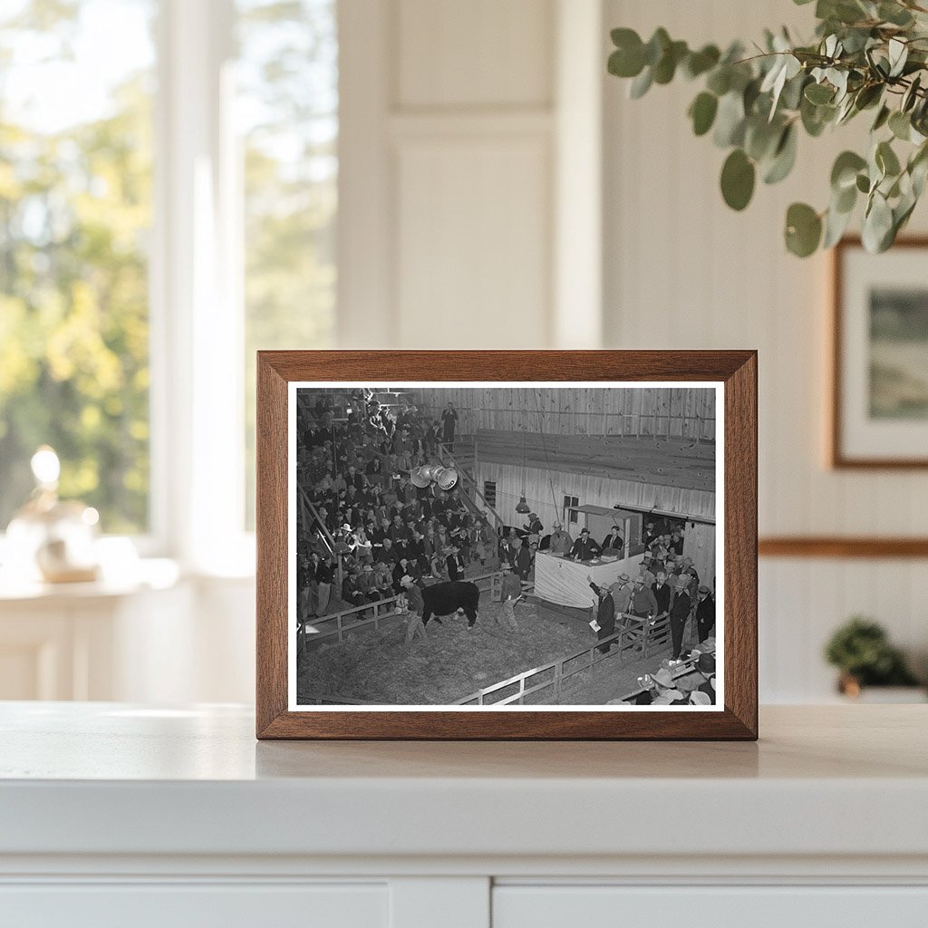 Hereford Cattle Auction San Angelo Texas March 1940