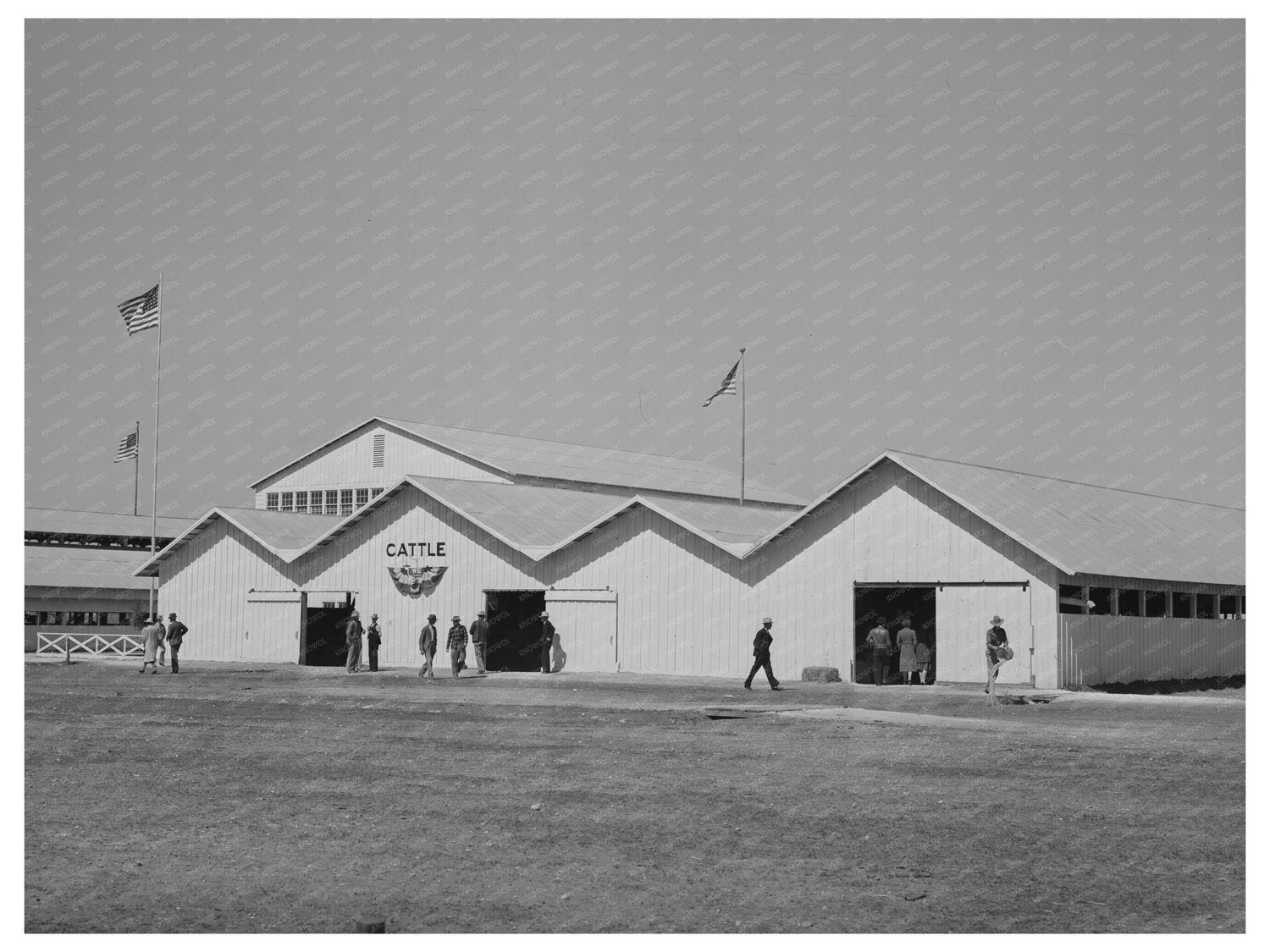 Cattle Barns at San Angelo Fat Stock Show March 1940