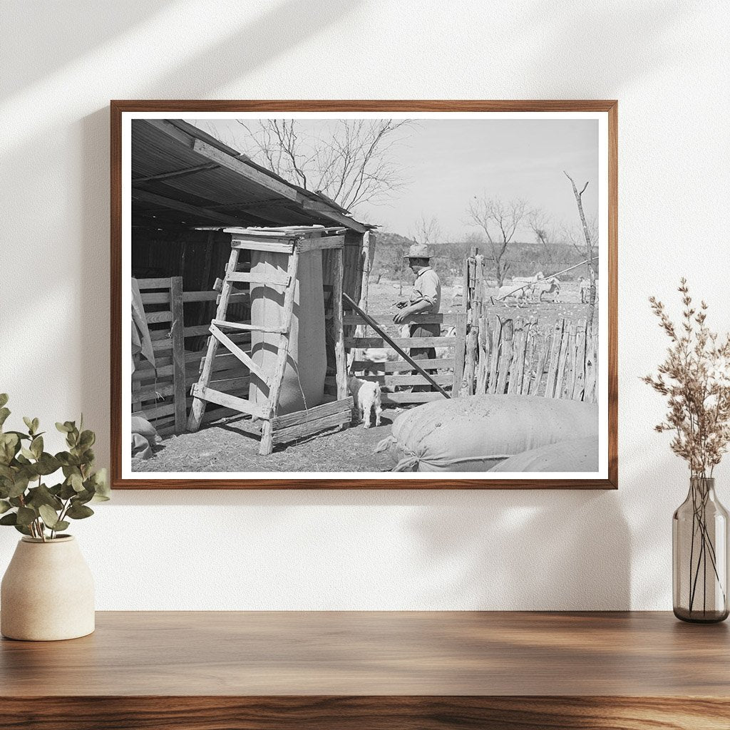 Goat Shearing Pen in Kimble County Texas March 1940