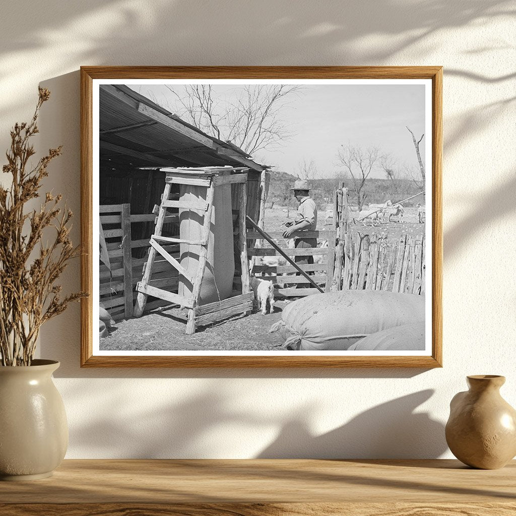 Goat Shearing in Kimble County Texas March 1940