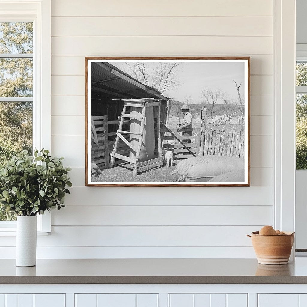 Goat Shearing Pen in Kimble County Texas March 1940