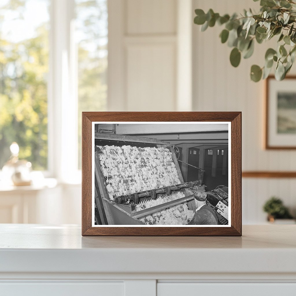 Wool Drying Chamber San Marcos Texas March 1940