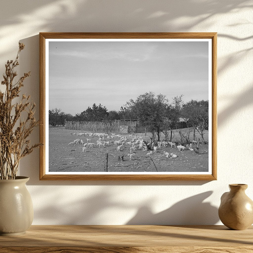 Children at Texas Ranch Enclosure March 1940