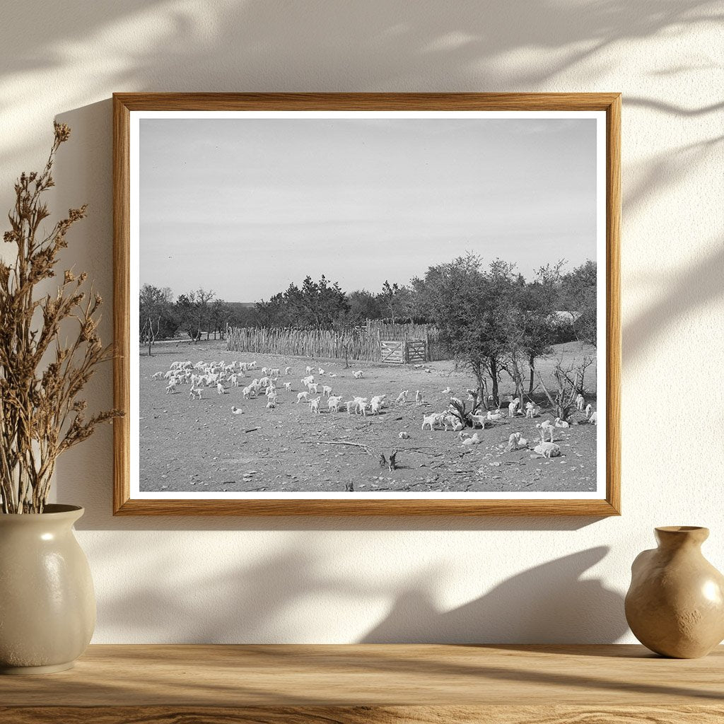 Children at Ranch Stockade Sutton County Texas March 1940
