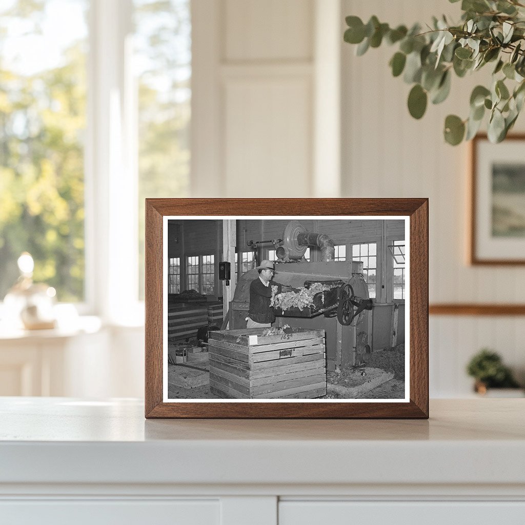 Wool Scouring Plant Worker in San Marcos Texas 1940