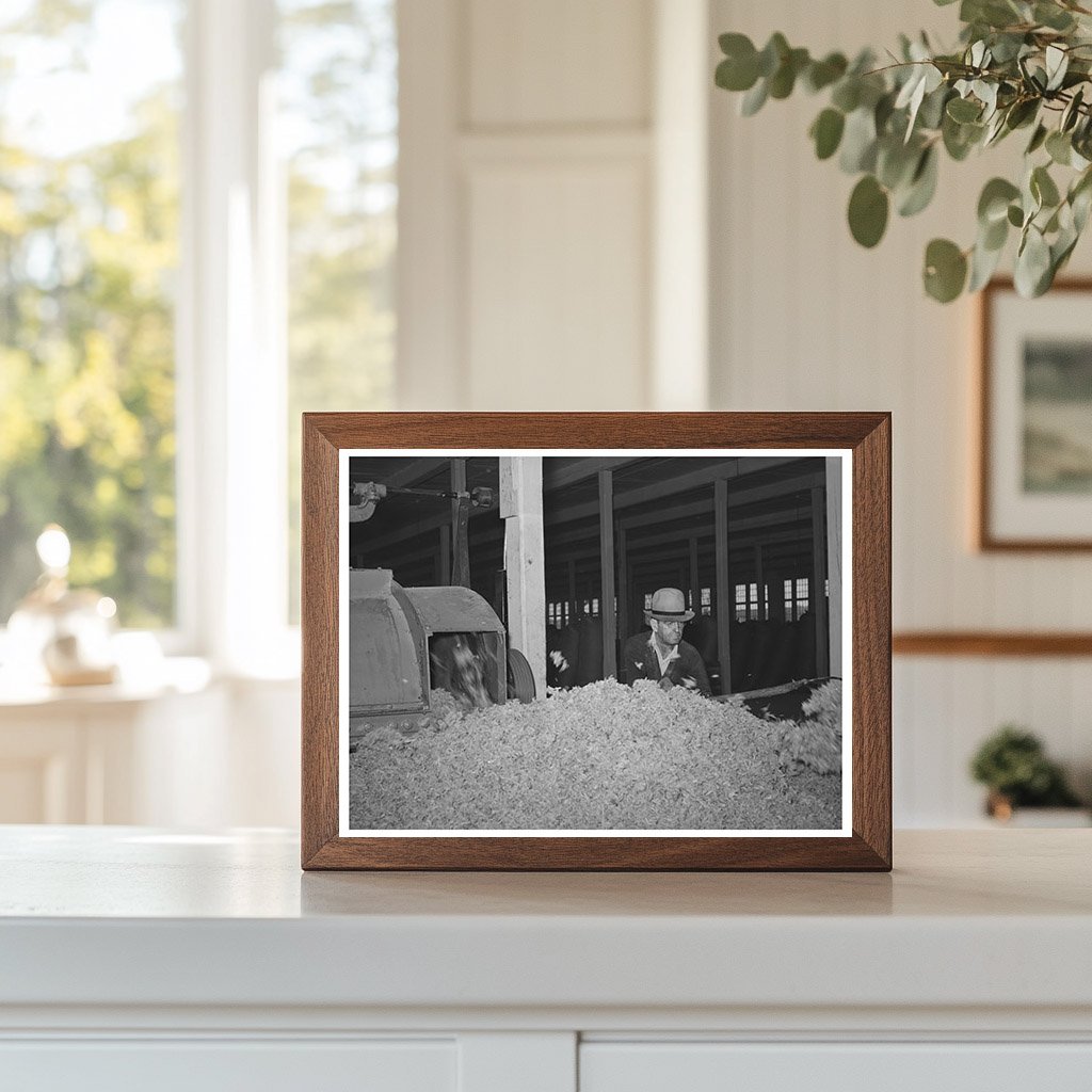 Raw Wool Cleaning at San Marcos Wool Scouring Plant 1940