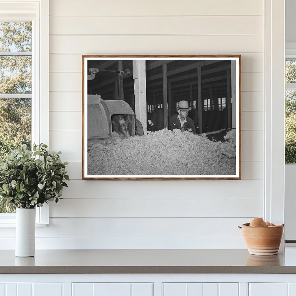 Raw Wool Cleaning at San Marcos Wool Scouring Plant 1940