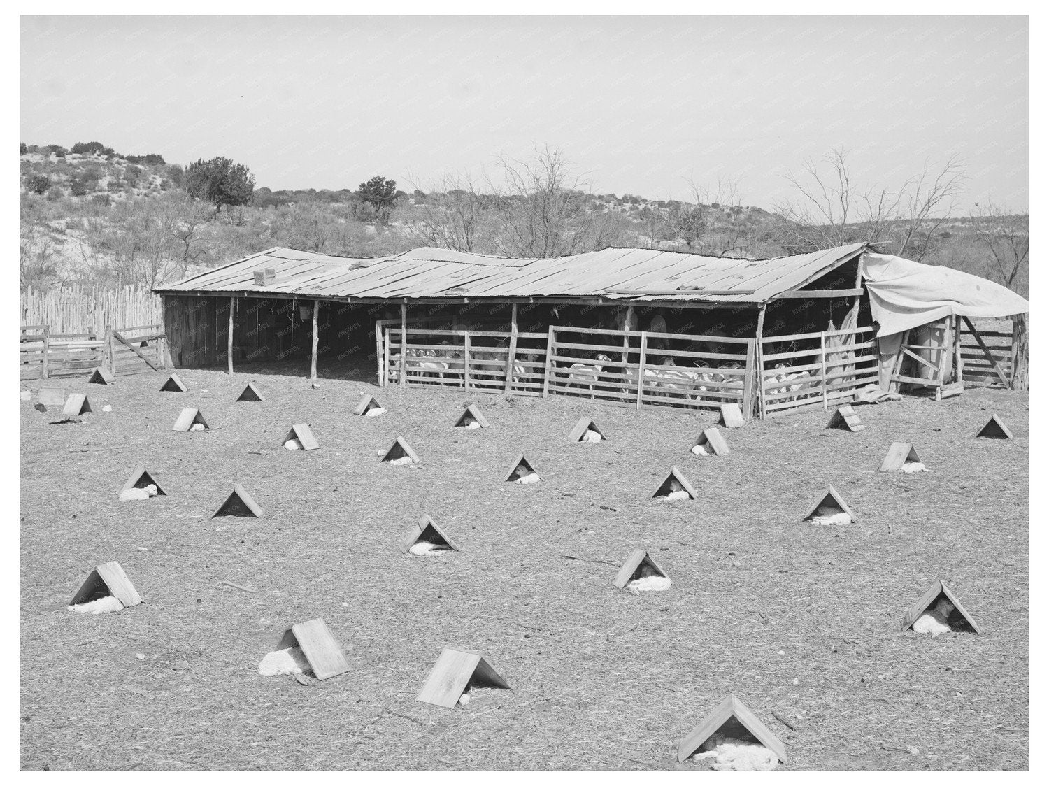 Children in Shelters Kimble County Texas March 1940