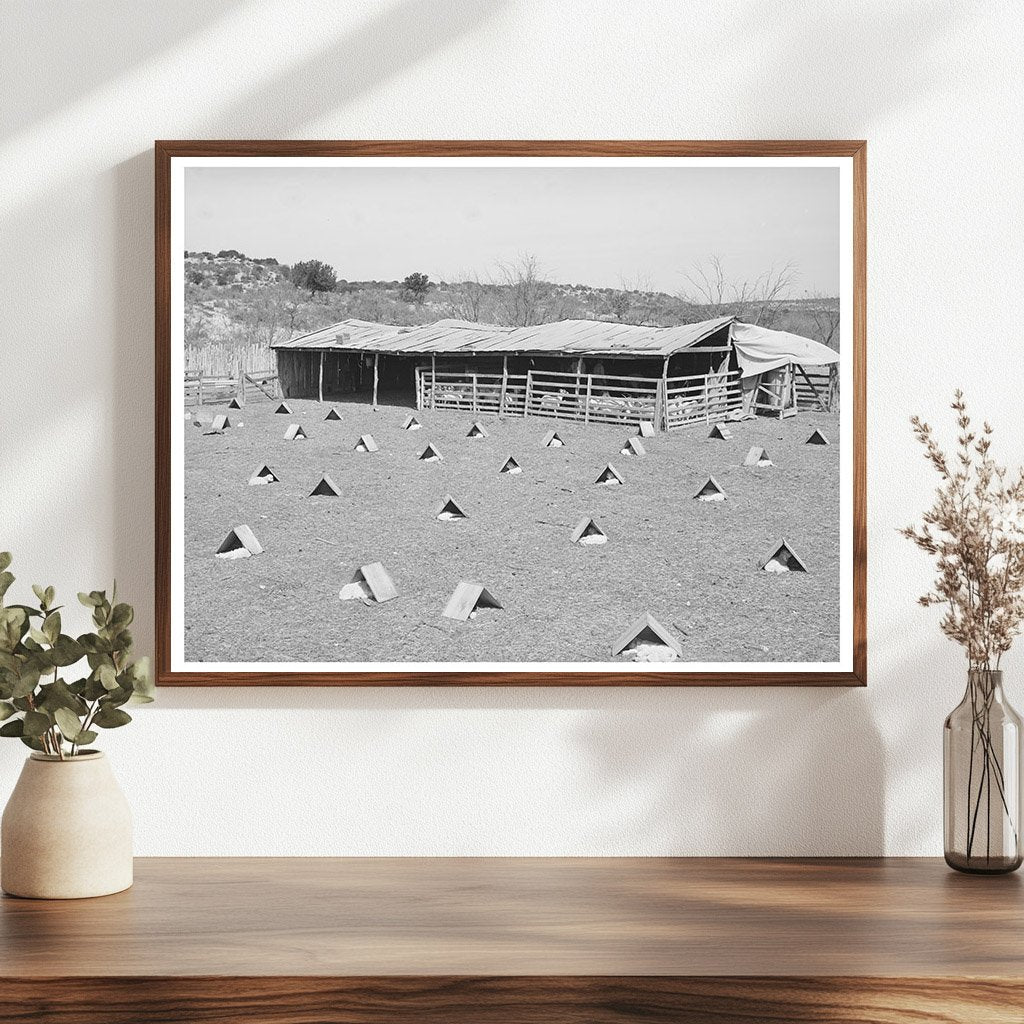 Children in Shelters Kimble County Texas March 1940