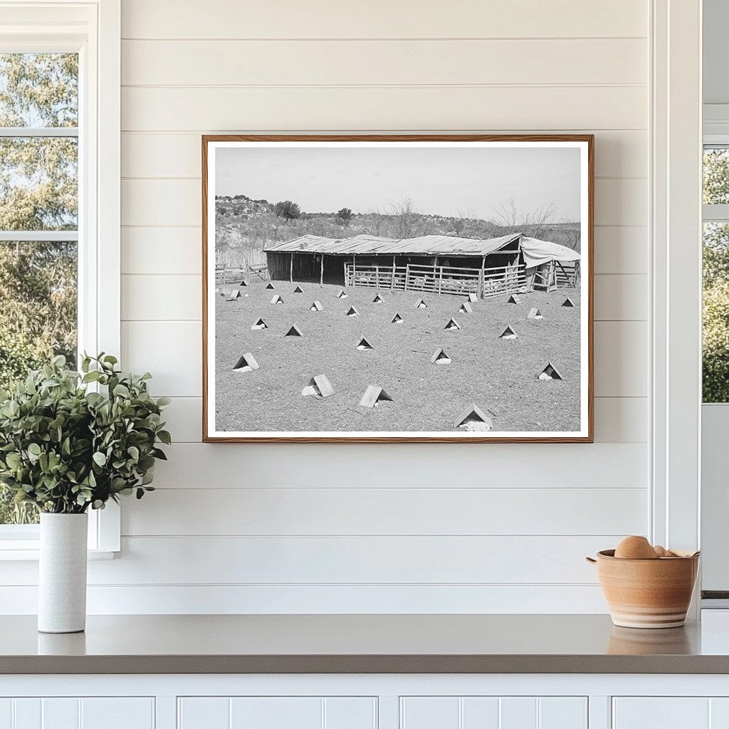 Children in Shelters Kimble County Texas March 1940