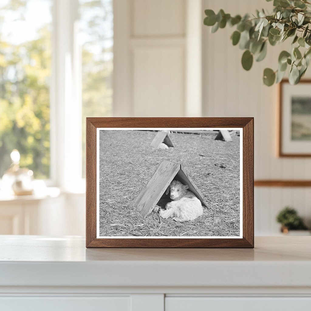 Child in Weather Shelter Kimble County Texas March 1940