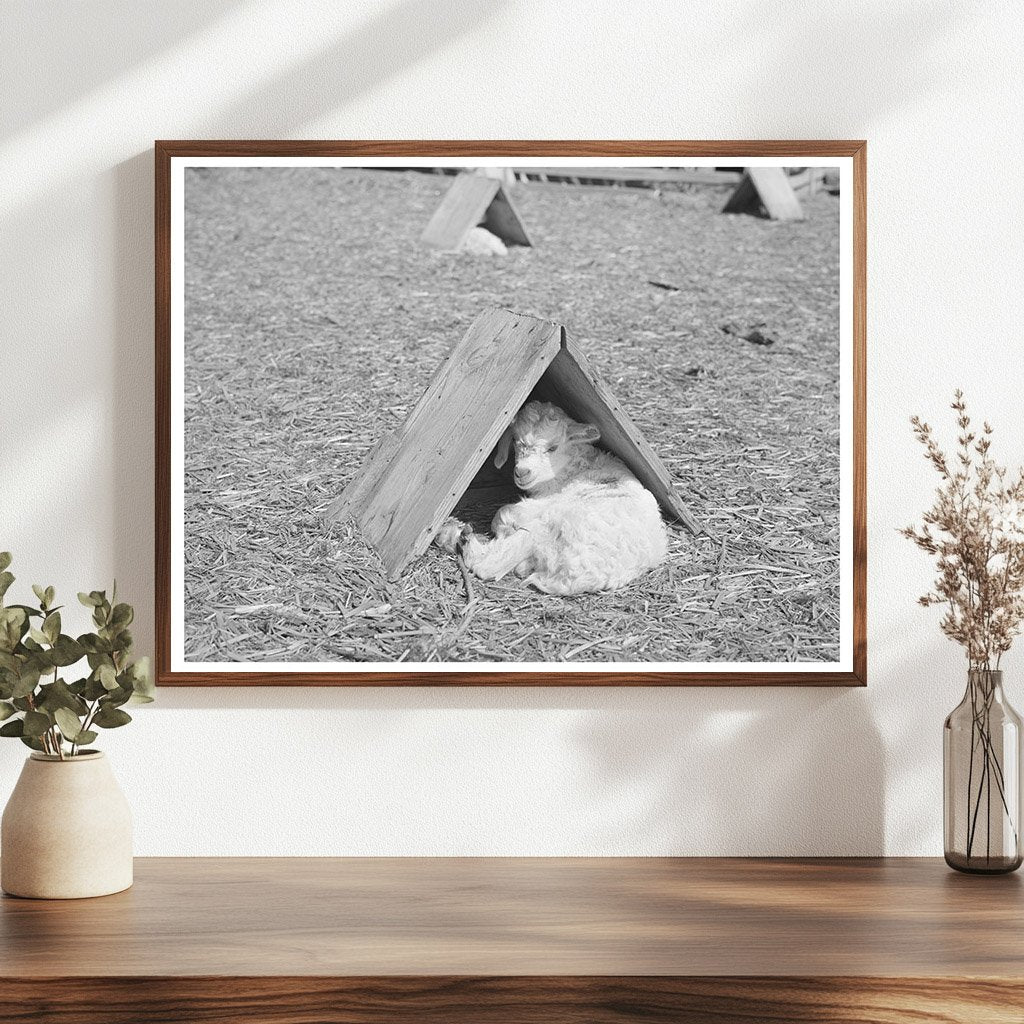 Child in Weather Shelter Kimble County Texas March 1940