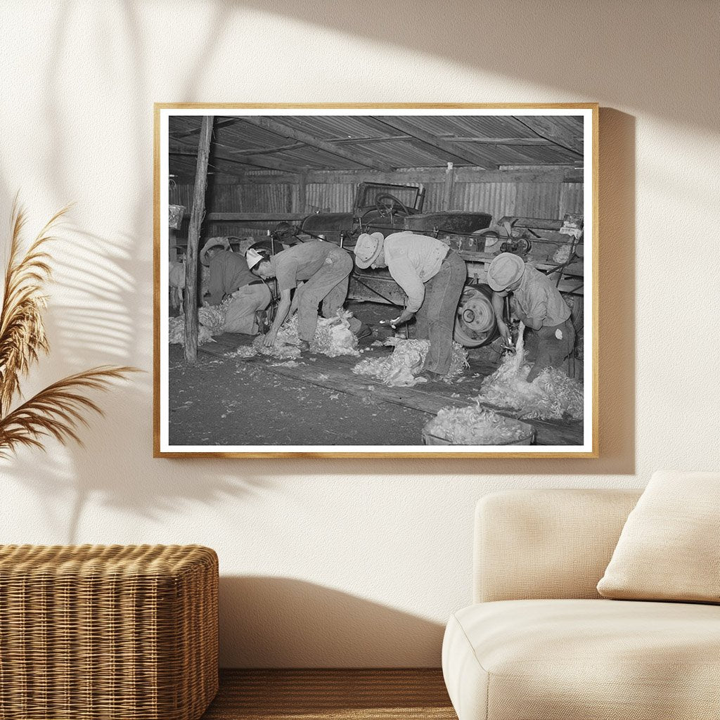 Mexican Laborers Shearing Goats in Texas 1940
