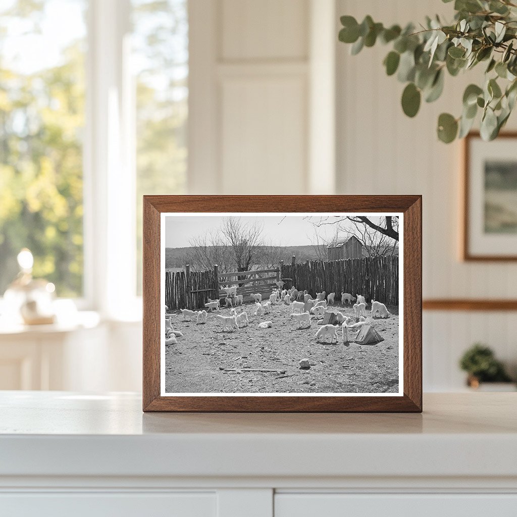 Children in Stockade at Kimble County Ranch March 1940