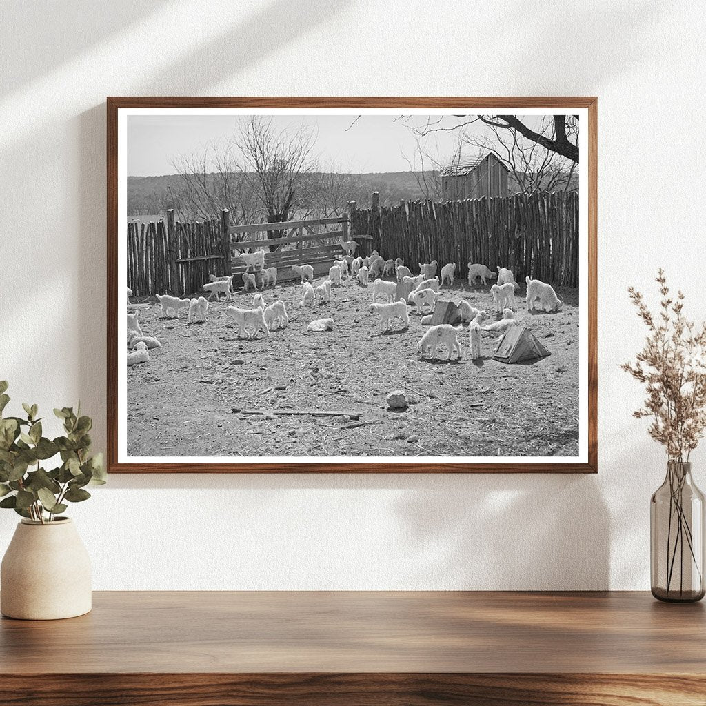 Children in Stockade at Kimble County Ranch March 1940