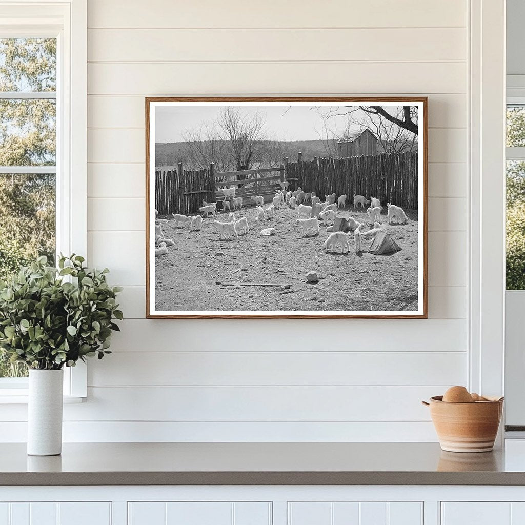 Children in Stockade at Kimble County Ranch March 1940