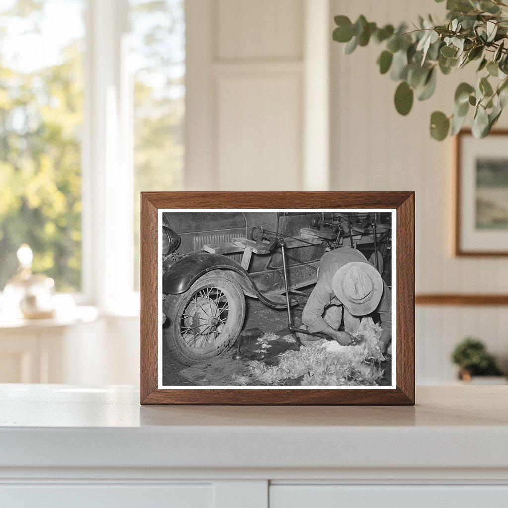 Shearing Goat with Auto-Powered Equipment March 1940