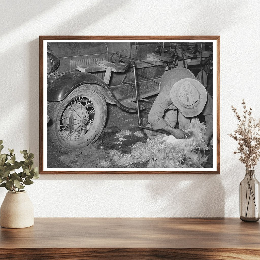 Shearing Goat with Auto-Powered Equipment March 1940