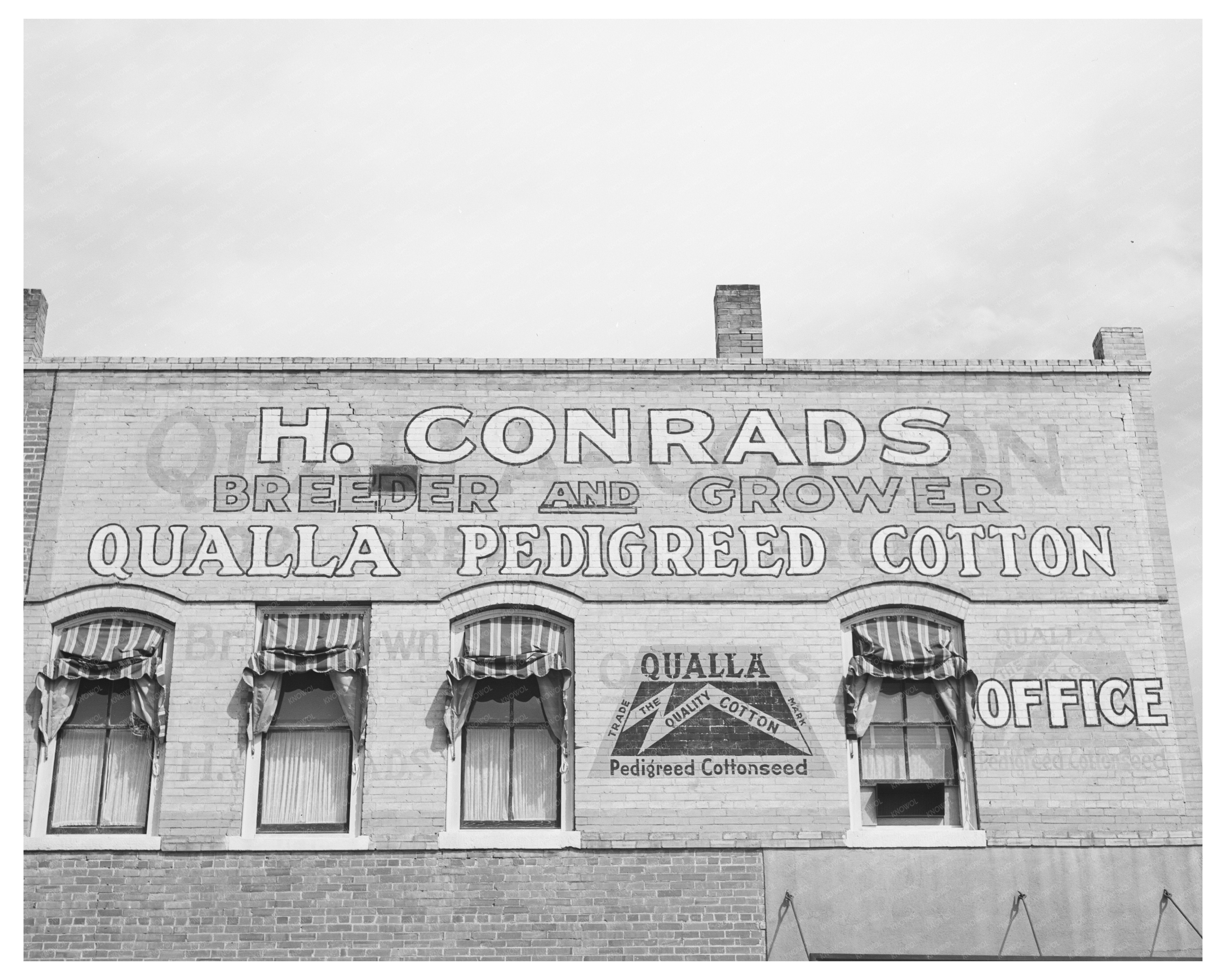 San Marcos Texas Cotton Farming Sign March 1940