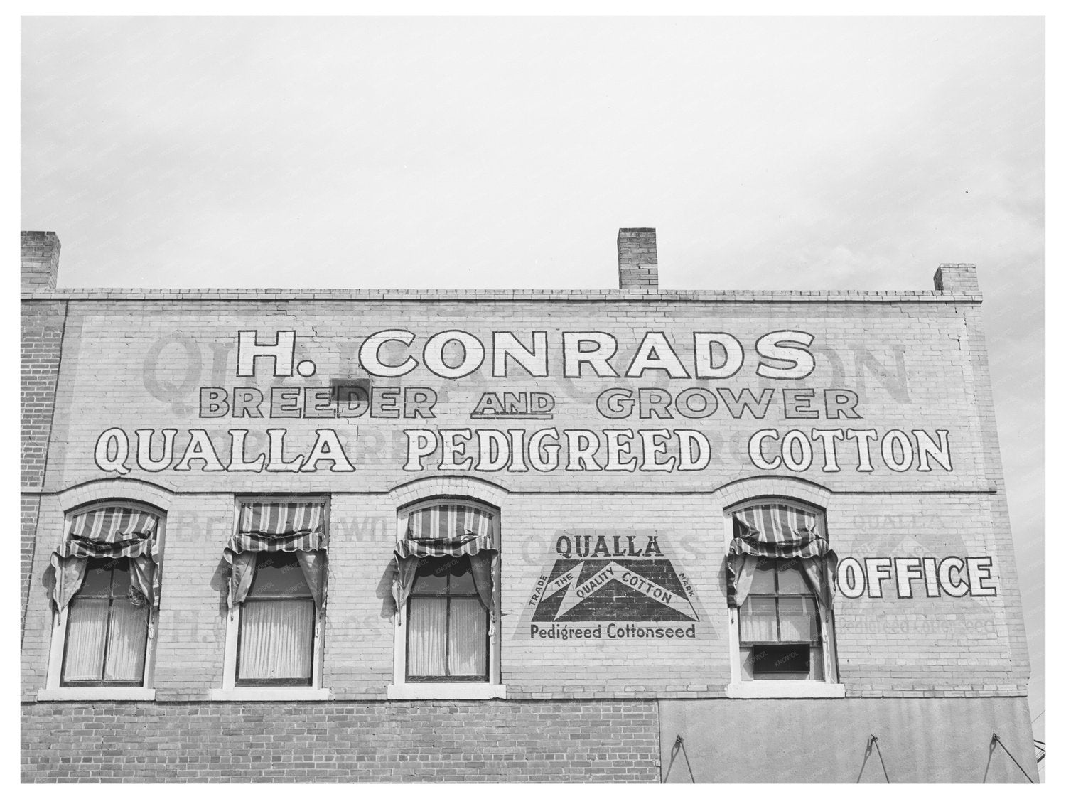 San Marcos Cotton Sign Vintage Photo March 1940