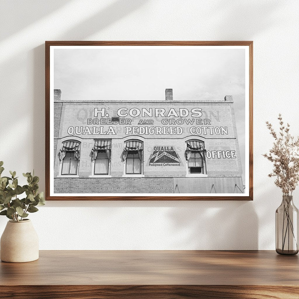 San Marcos Cotton Sign Vintage Photo March 1940