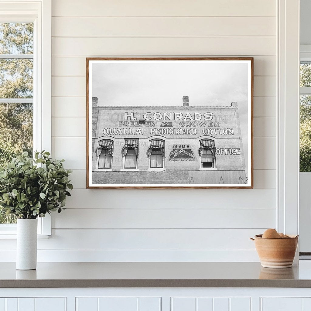 San Marcos Cotton Sign Vintage Photo March 1940