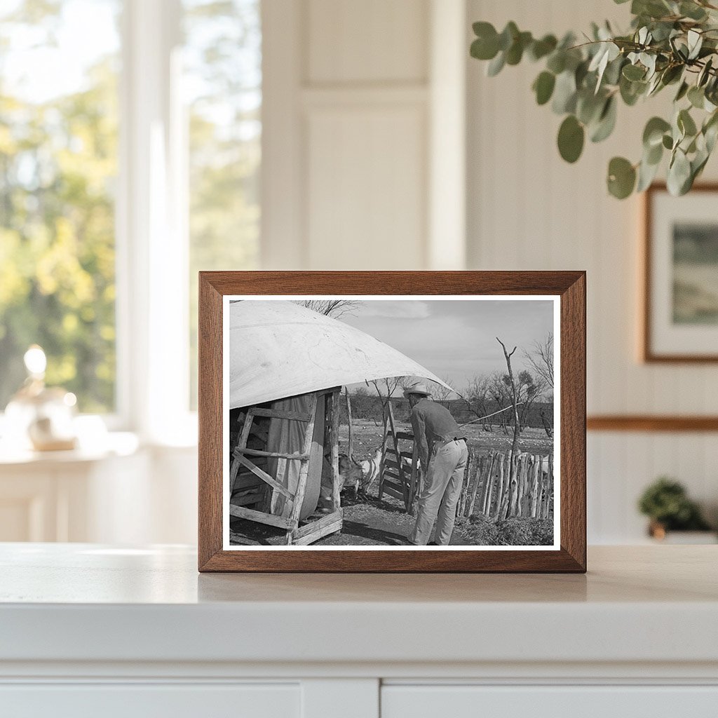 Shorn Goats Released from Shearing Pen Texas March 1940