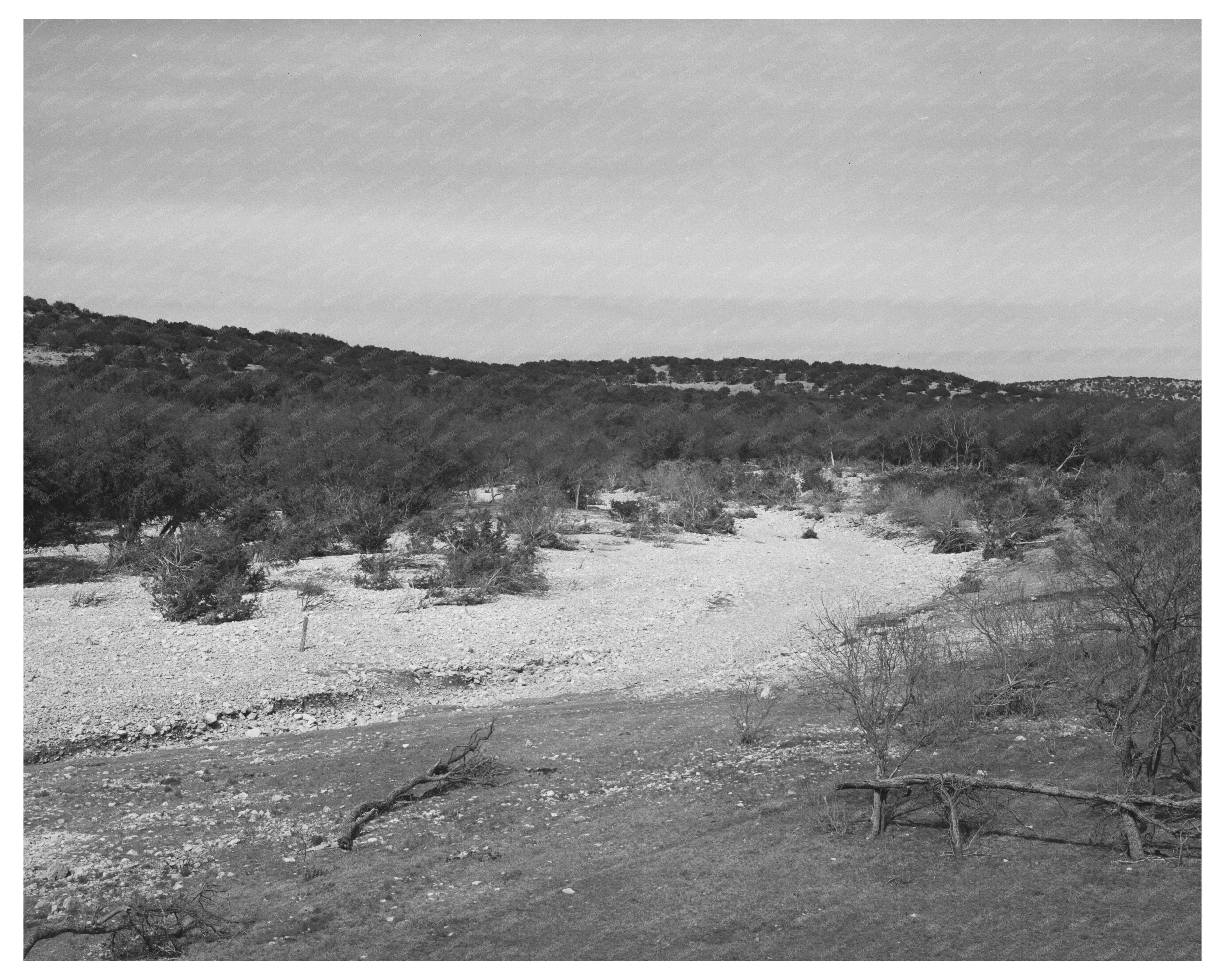 Dry Creek Bed Kimble County Texas March 1940 Image