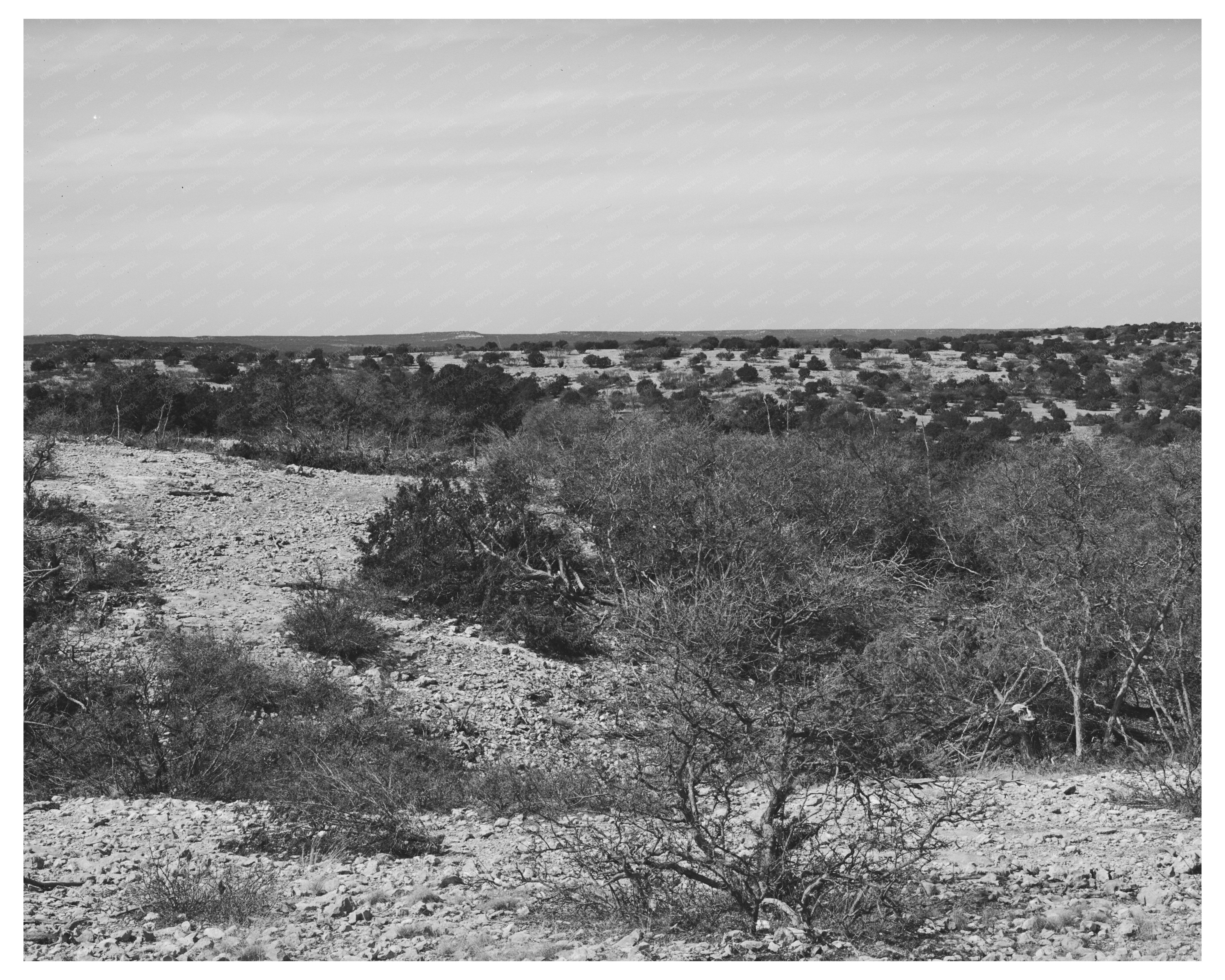 Kimble County Texas Landscape March 1940 Vintage Photo
