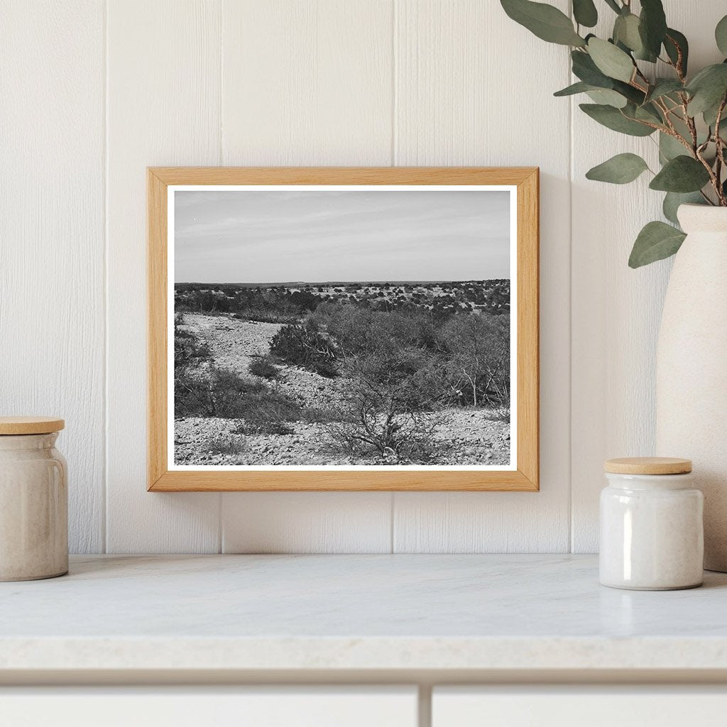 Kimble County Texas Landscape March 1940 Vintage Photo