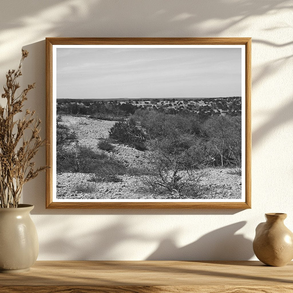 Kimble County Texas Landscape March 1940 Vintage Photo