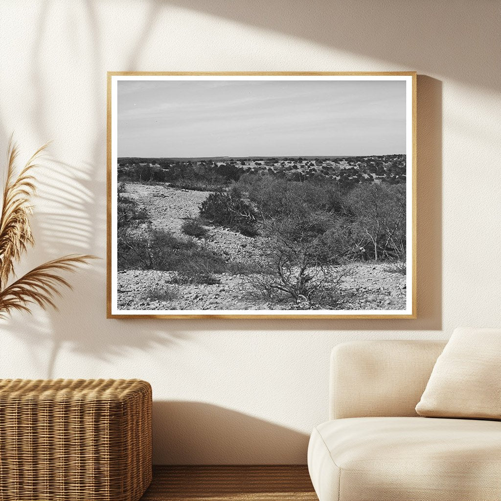 Kimble County Texas Landscape March 1940 Vintage Photo