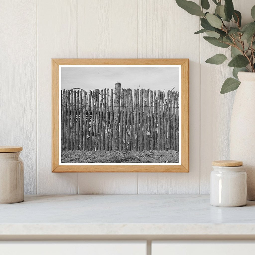 Cedar Post Fence in Kimble County Texas March 1940