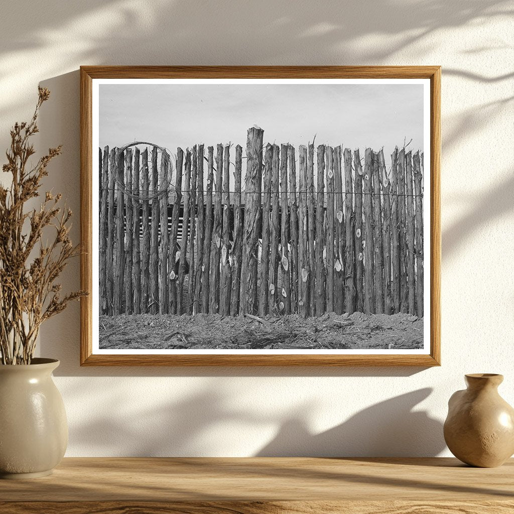 Cedar Post Fence in Kimble County Texas March 1940