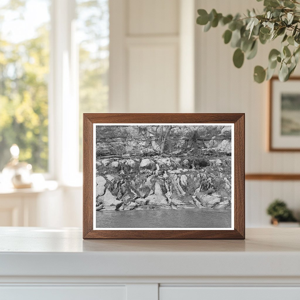 Seven Hundred Springs Llano River Texas March 1940