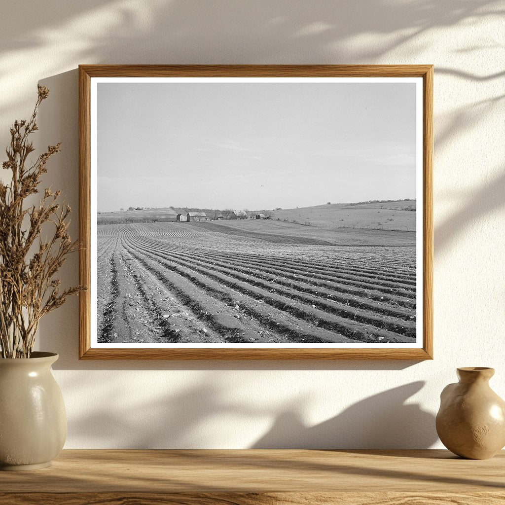 Bexar County Texas Cotton Farming Practices March 1940
