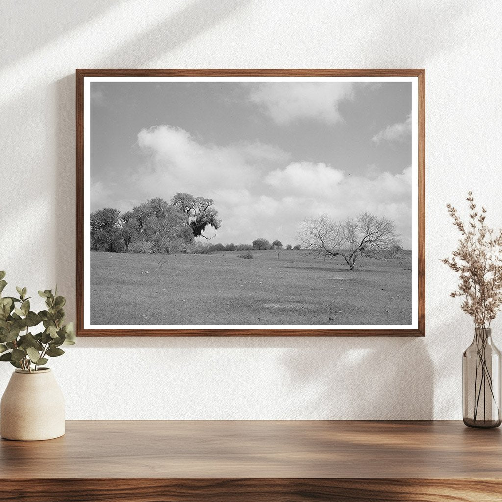 Refugio County Texas Landscape March 1940 Vintage Photo