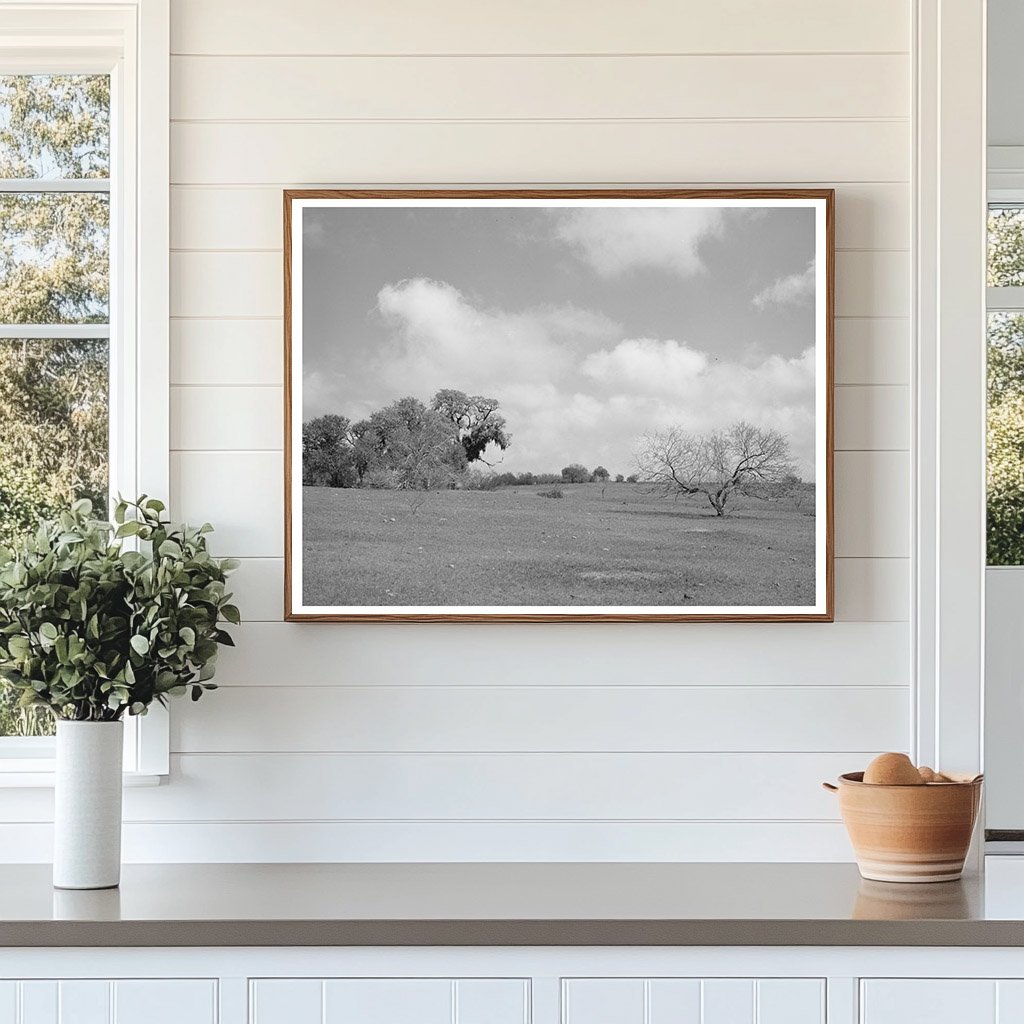 Refugio County Texas Landscape March 1940 Vintage Photo