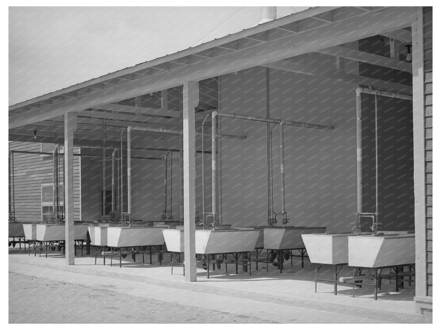 Migrant Labor Camp Laundry Tubs Sinton Texas 1940