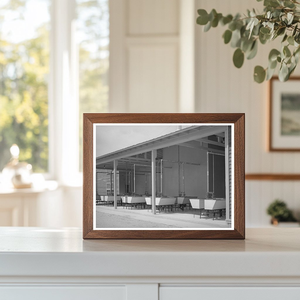 Migrant Labor Camp Laundry Tubs Sinton Texas 1940