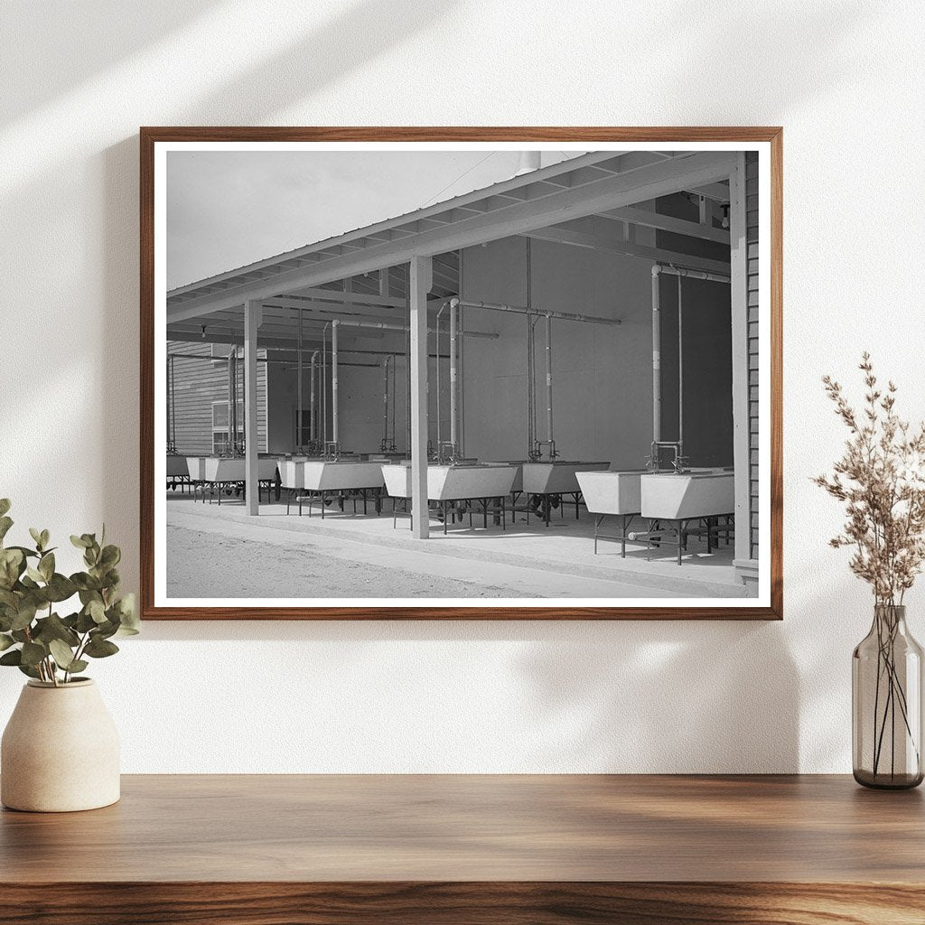 Migrant Labor Camp Laundry Tubs Sinton Texas 1940