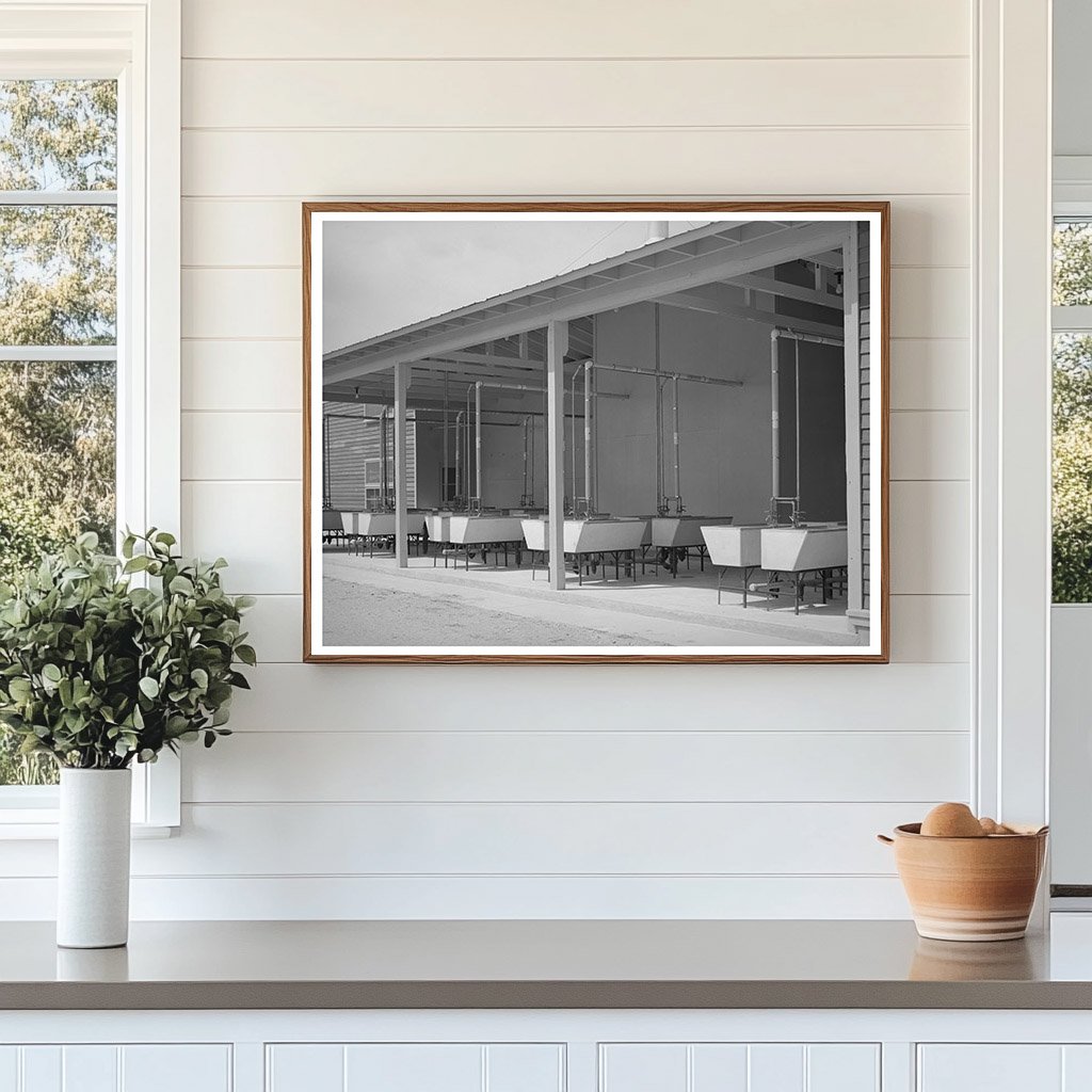 Migrant Labor Camp Laundry Tubs Sinton Texas 1940