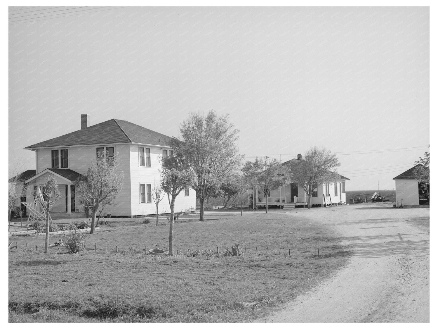 Cotton Farm in San Patricio County Texas March 1940