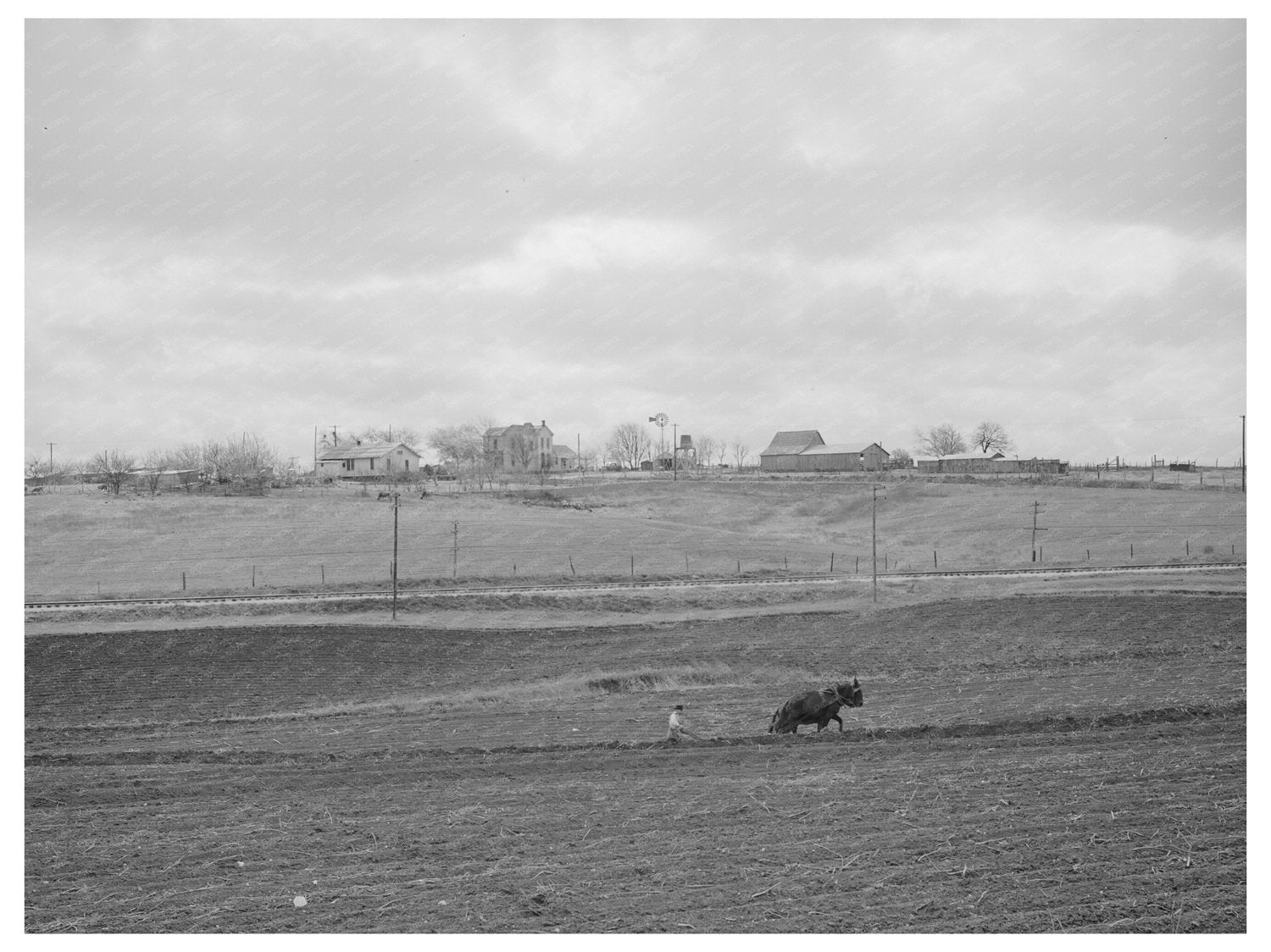 Spring Plowing in Williamson County Texas March 1940