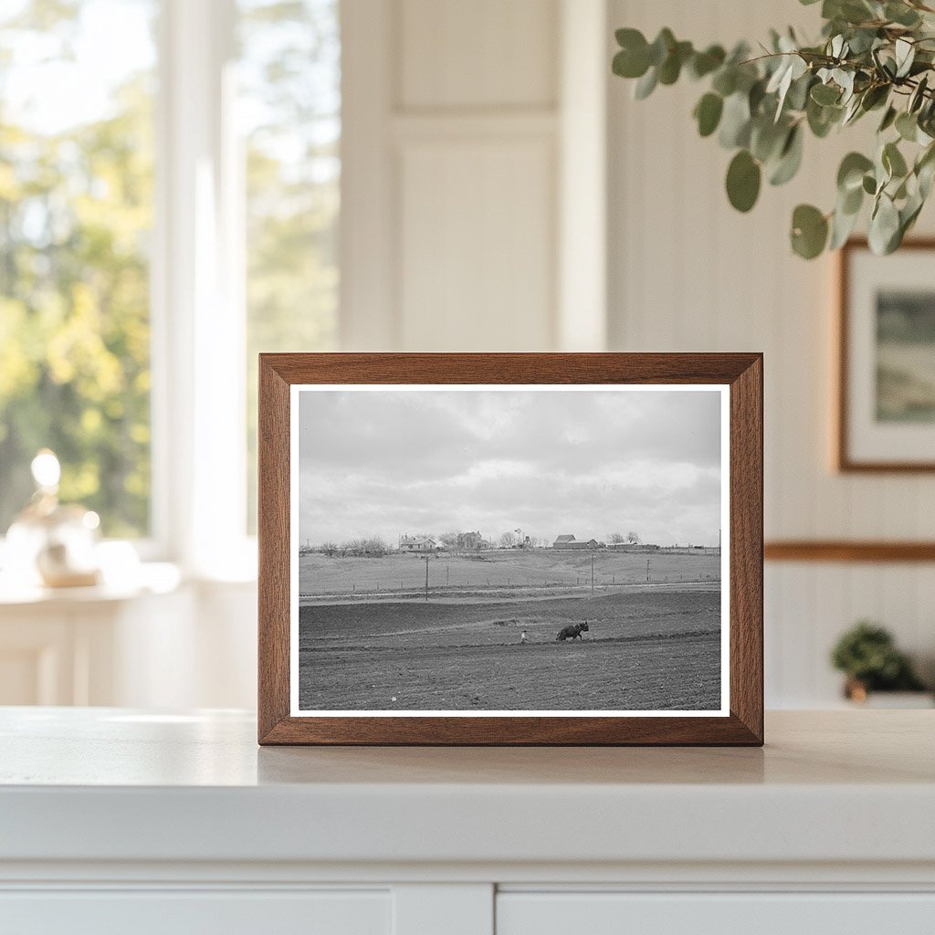 Spring Plowing in Williamson County Texas March 1940