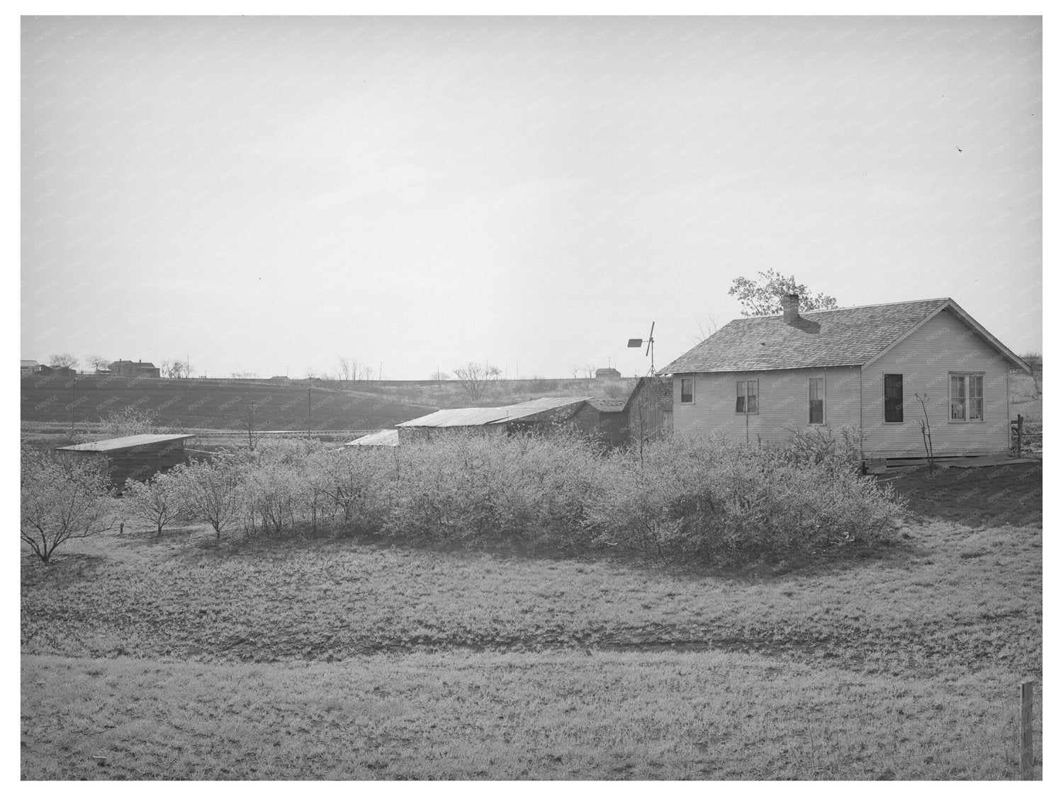 Williamson County Texas Farmstead March 1940